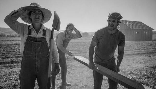 AI reference frame for Harvest Sweat Documentary
