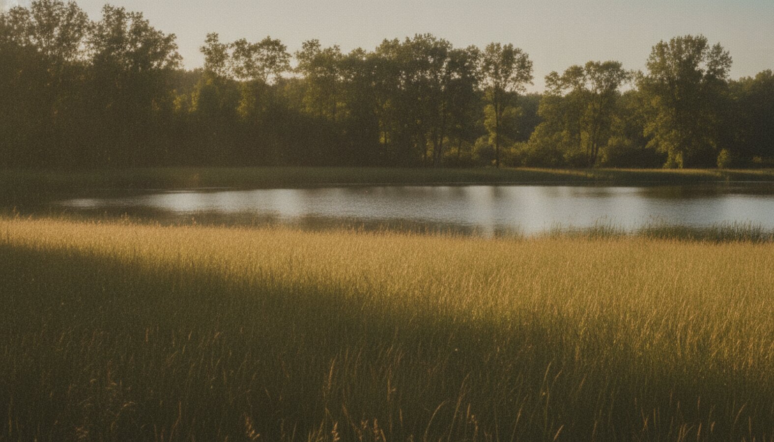 AI reference frame for the Sony recipe Scorched Summer Grain