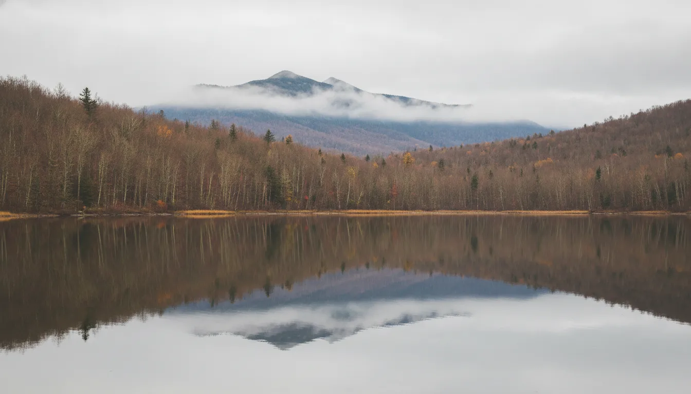AI reference frame for the Sony recipe Tarnished Lake Stillness
